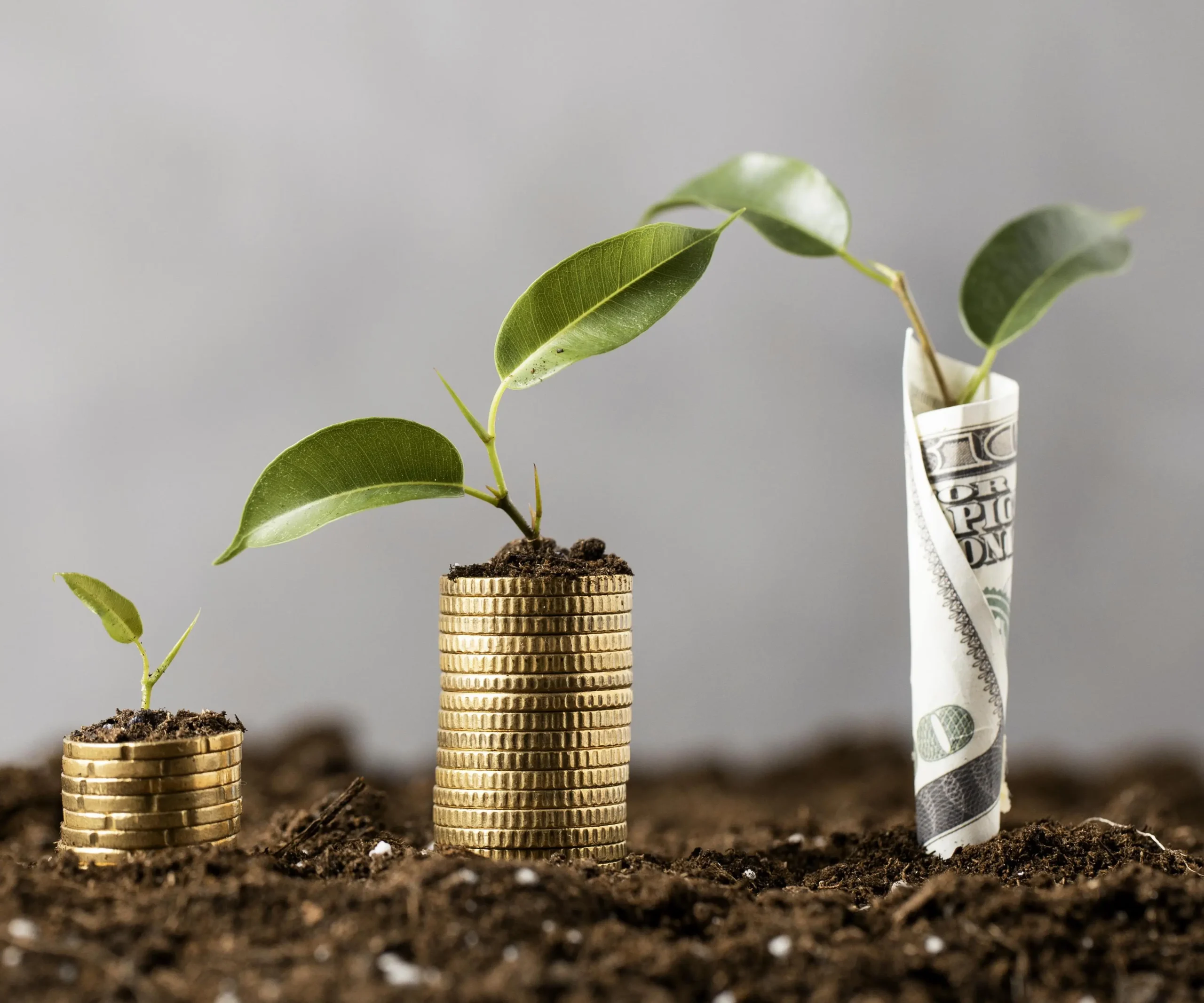 Guía Completa para Crear tu Cuenta en Hapi e Iniciar tu Primera Inversión